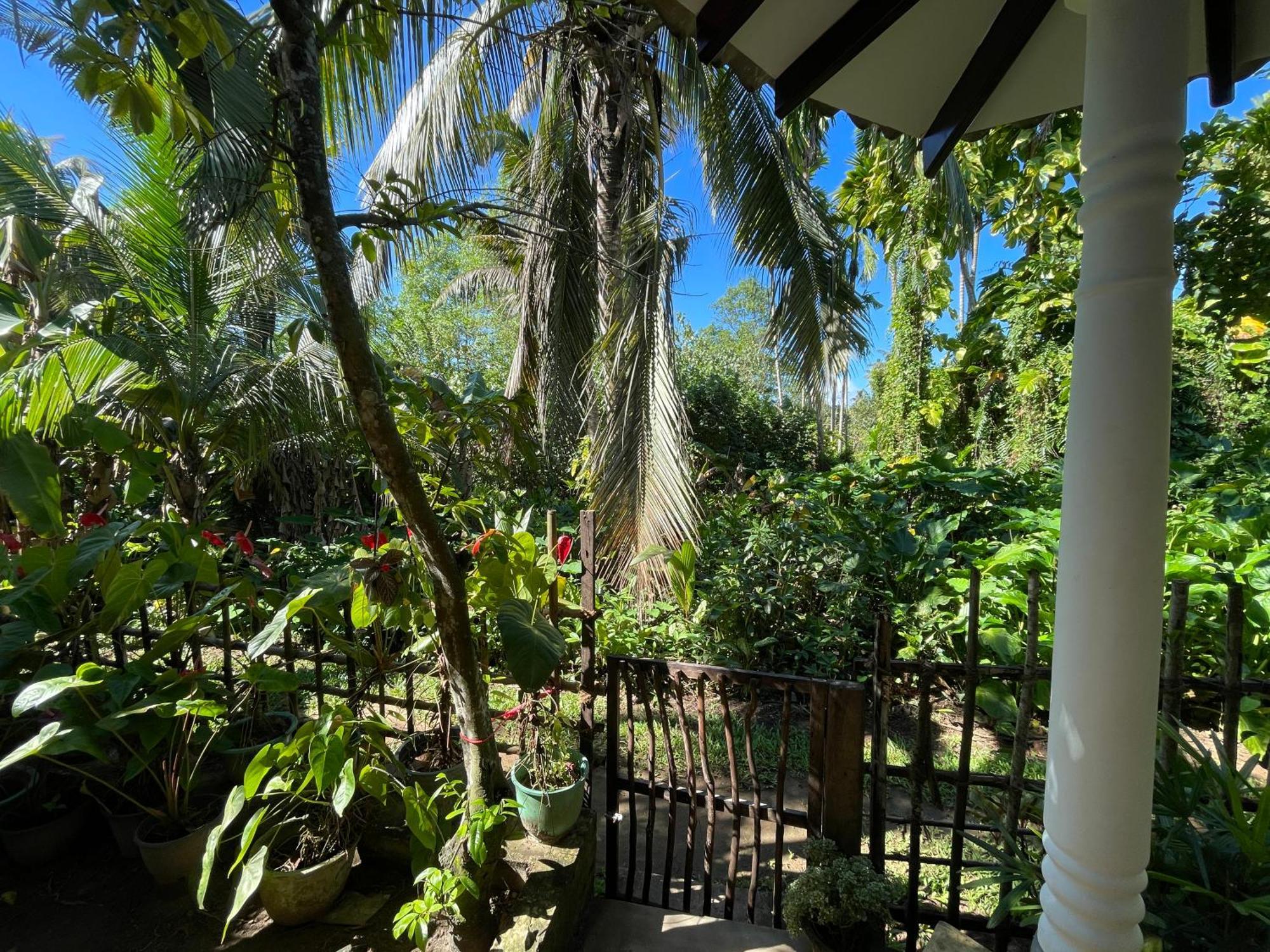 Sun & Tree Homestay Mirissa Ngoại thất bức ảnh